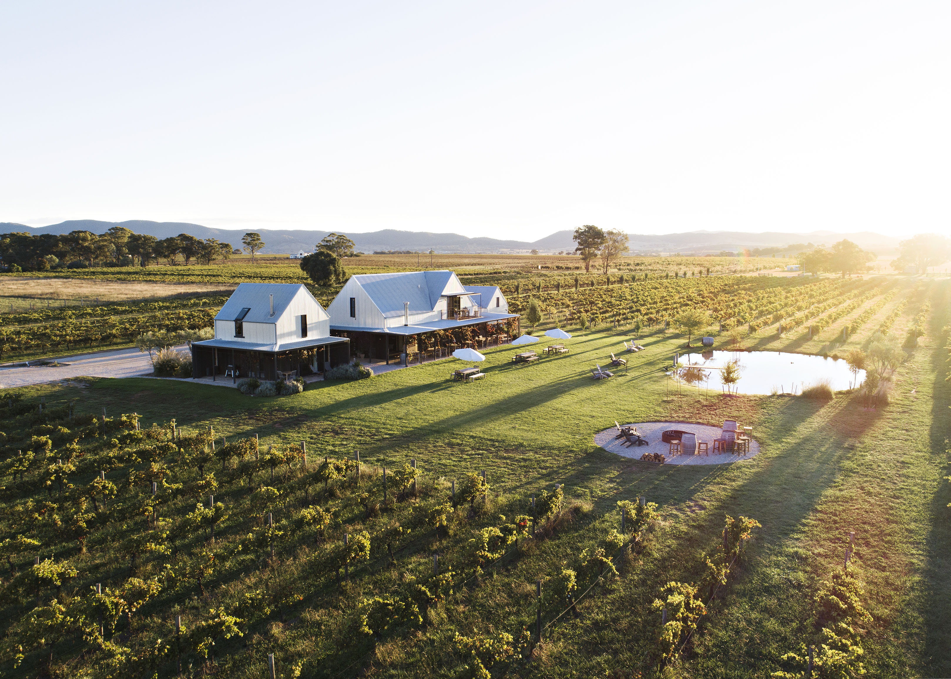 Aerial view of Yeates  winery and vineyard 